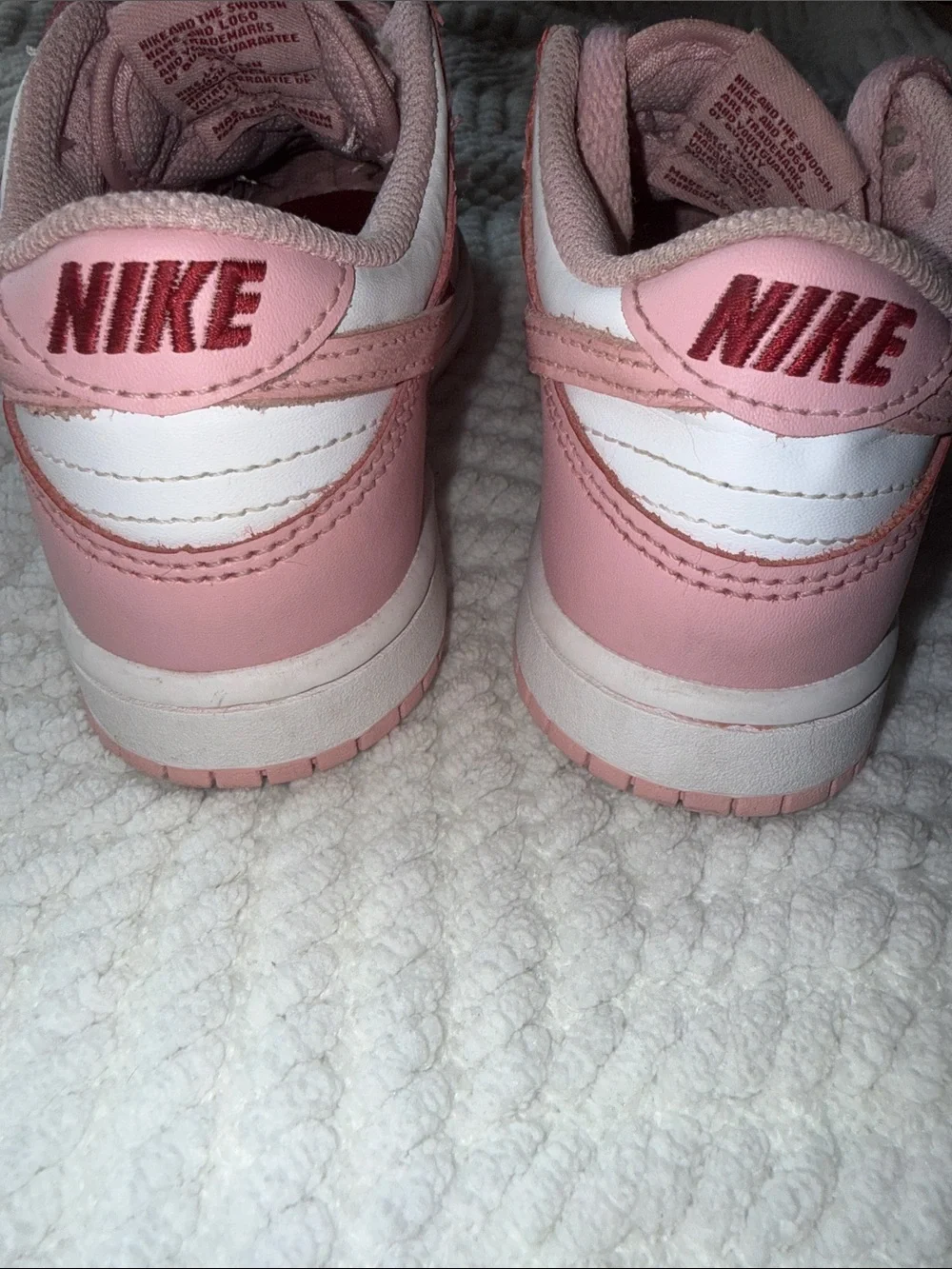 Nike Dunk Low Big kids shoes